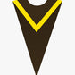 Custom V Choir Stole with Border