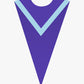 Custom V Choir Stole with Border